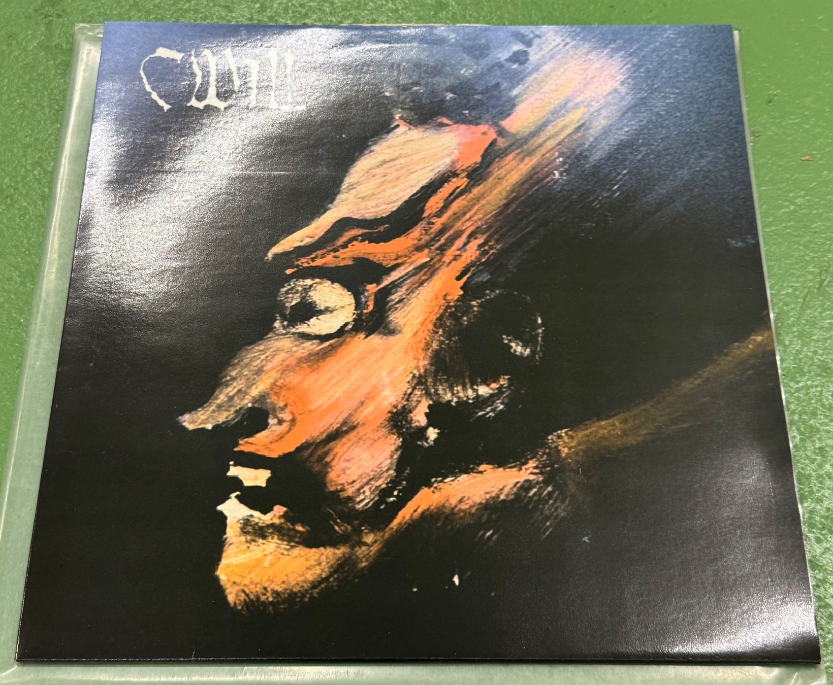 Dischi in vinile: Cwill: Beyond Reality (CH-Scream-Mosh-HC, limited, Legends!) – Usato da Basel venduto da Ostschweiz06