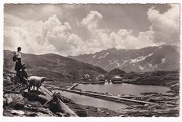 San Gottardo N° 1482  1935  ( Mouton )