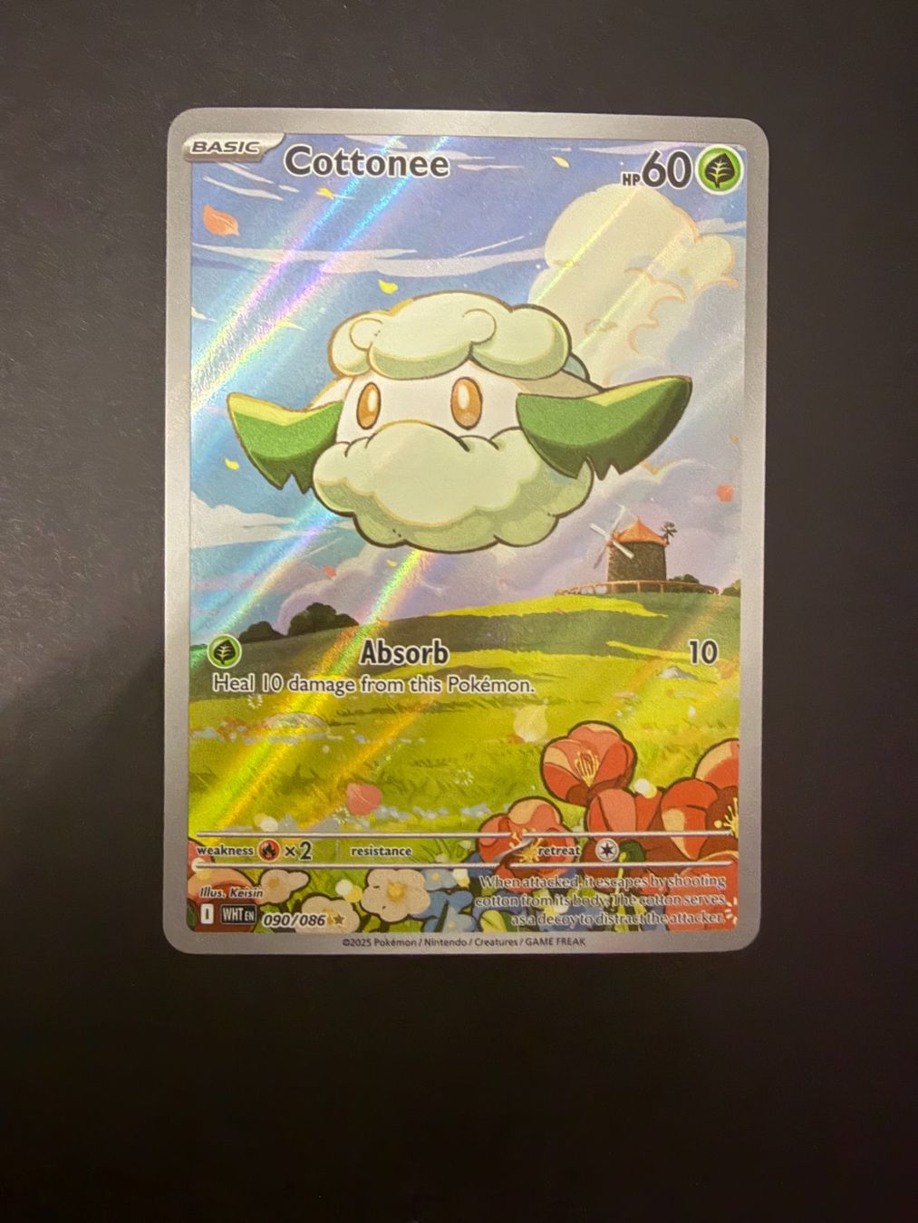 Pokémon Carte collezionabili: Pokemon Cottonee 090 AR – Usato da Basel venduto da ray.alround