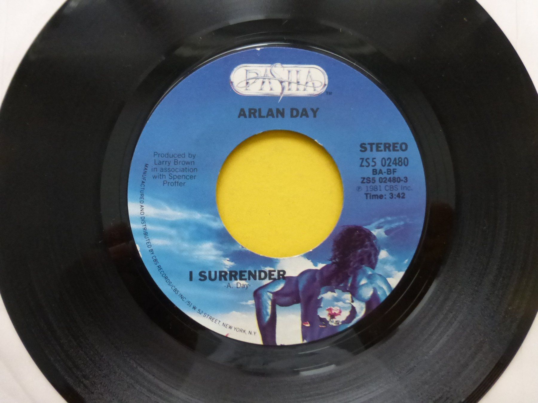 Dischi in vinile: Arlan Day – I Surrender – Usato da Zürich venduto da Swiss57 1
