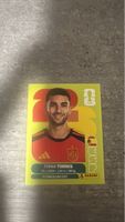 ESP 18 , FIFA WORLD CUP 2026 PANINI 