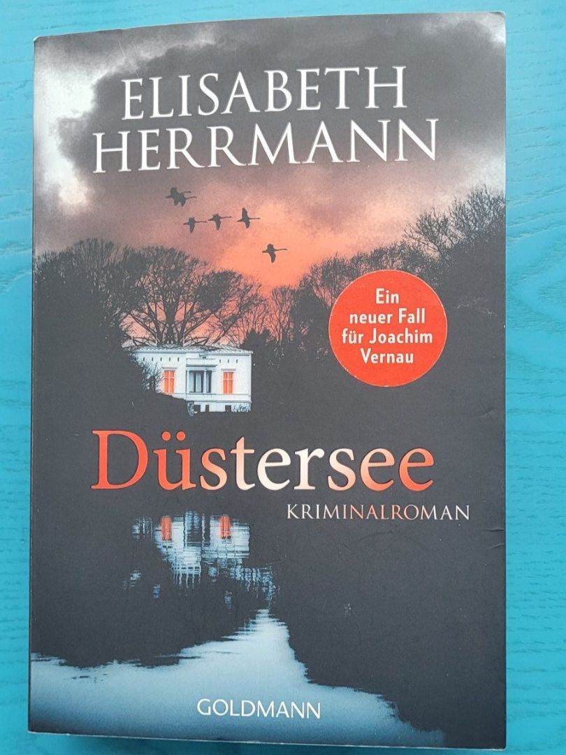 Libri: Elisabeth Herrmann - Düstersee – Usato da SCHÜBELBACH venduto da CoKaHa