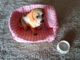 Süsser Wachhund mit Körbchen sucht neues Puppenhaus