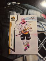 Jonathan Hazen HC Ajoie Sportzoo 2024/25