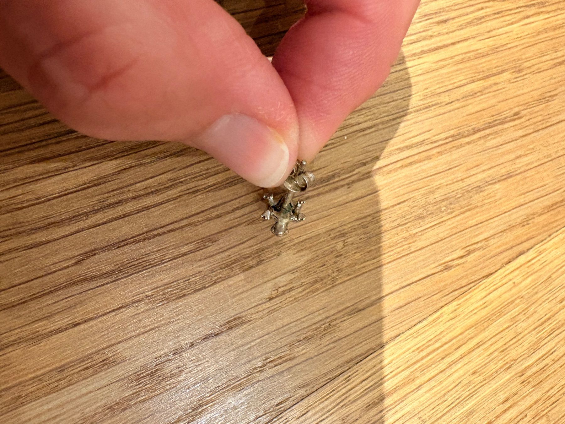 Ohrringe & -stecker: 1 Ohrring, Frosch, Silber, Schmuck – Gebraucht aus Breitenbach von Alice_xy 2
