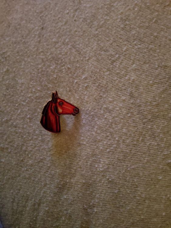 Pferdekopf Pin rot (Gebraucht) in Tuggen für CHF 1 – mit Lieferung auf ...