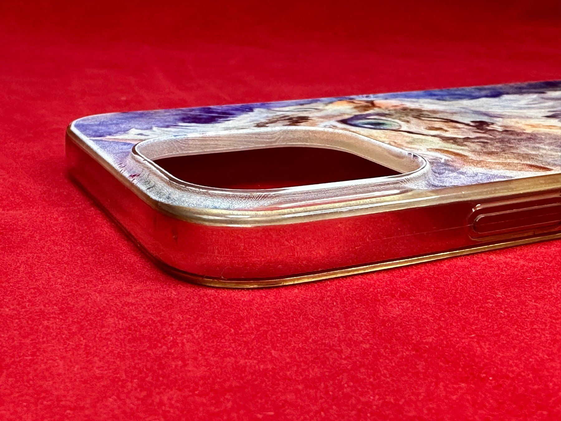Apple Covers & Schutzfolien: Cover für iPhone 13 Pro Max – Gebraucht aus Egolzwil von Bubbly76 7