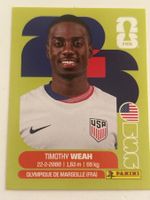 Panini WM 2026 - USA 12 Sticker - ⚽️