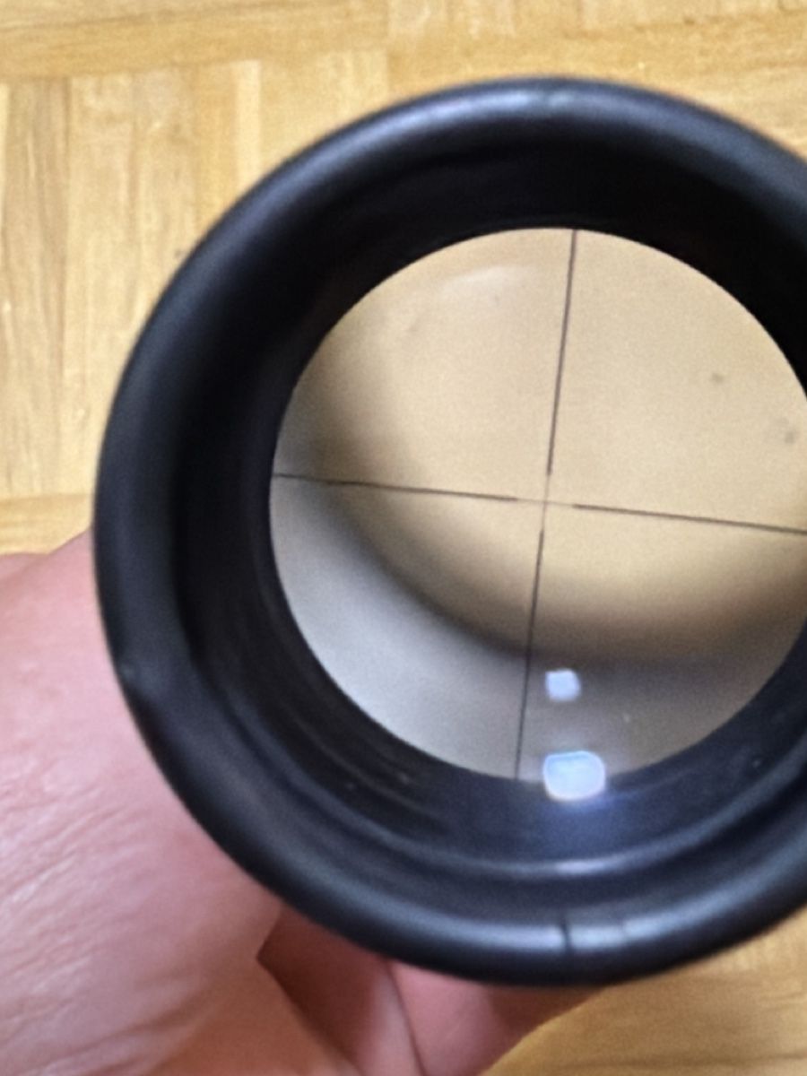 Occhiali & Lenti: Lunettes de tir weihrauch – Usato da Lausanne venduto da Erion2015 5