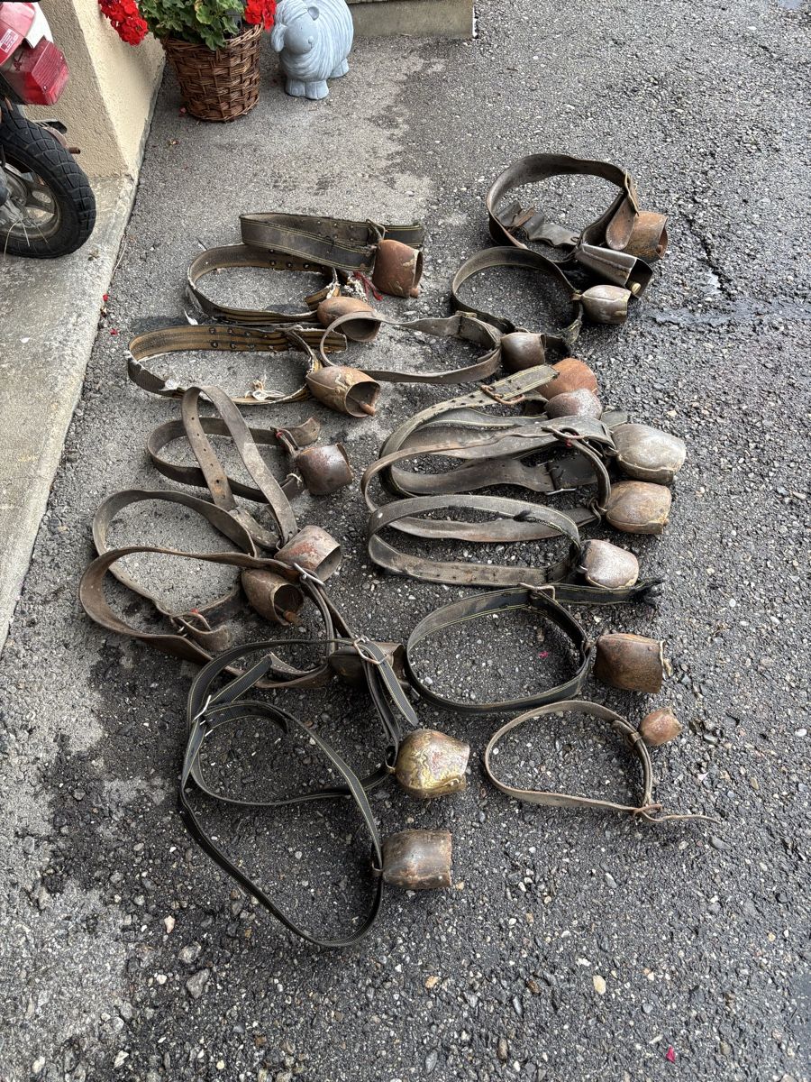 Campanacci mucche: 20 Stk Rindertreicheli – Difettoso da Schangnau venduto da Roseggli82 9