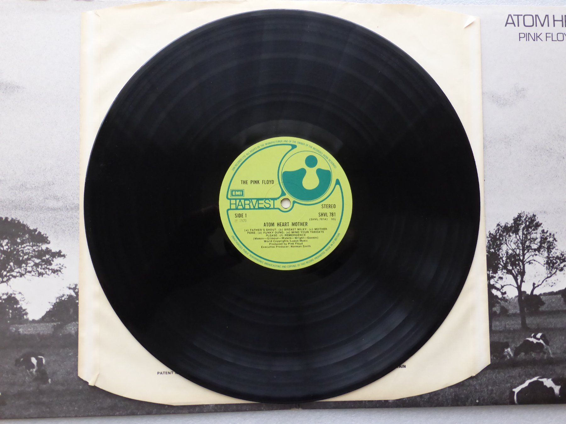 Dischi in vinile: VINYL  LP   PINK FLOYD – Usato da Küssnacht am Rigi venduto da Sunnestrahl 2