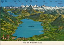 1979 AK Thun mit Berner Oberland Panorama