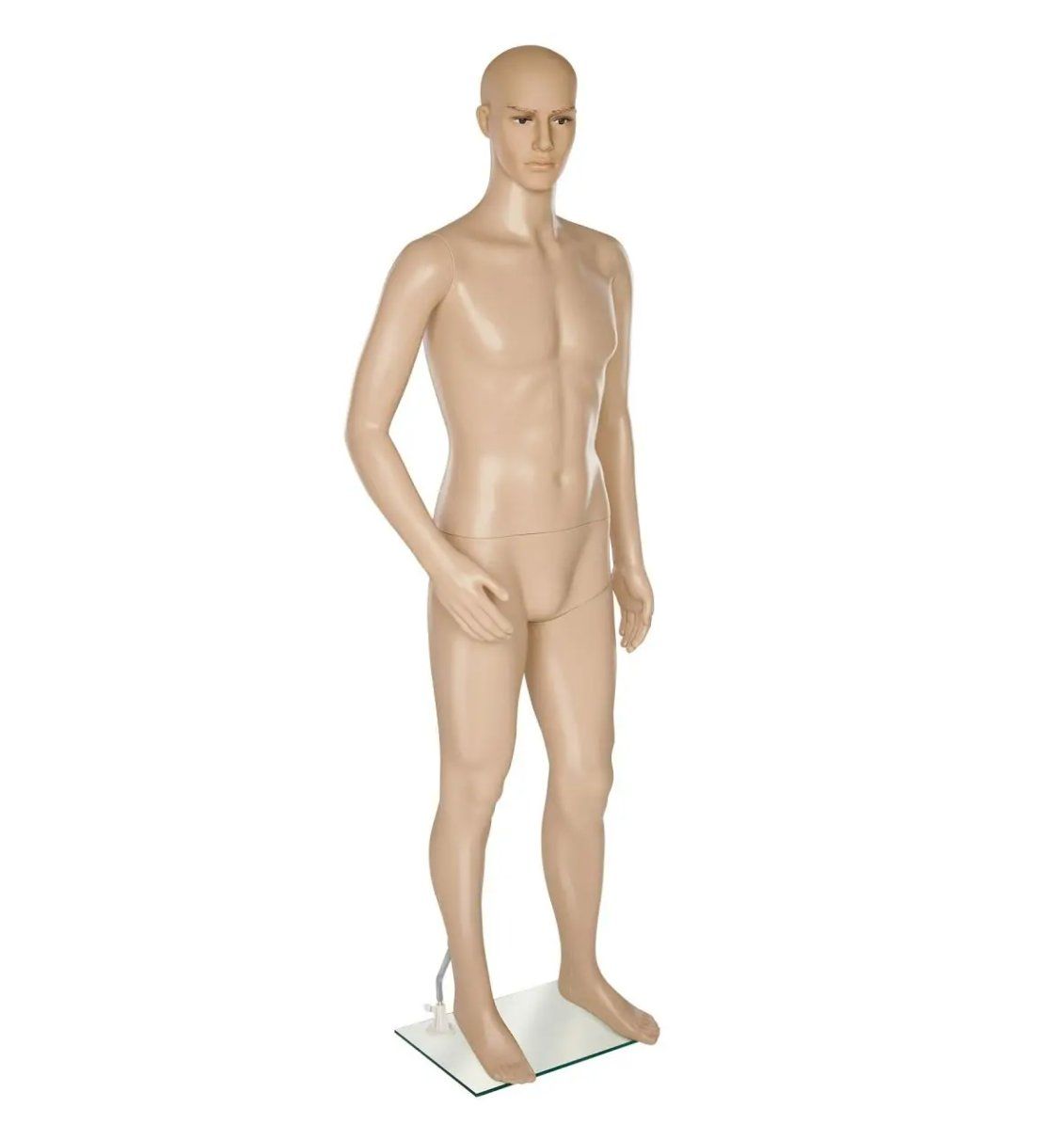 Altro in Decorazioni & Accessori: Schaufensterpuppe Herren – Nuovo (secondo la descrizione) da Steinhausen venduto da Retourenprofis 1