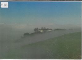 Sichere Hilfe - Kloster Gubel - Visio 6