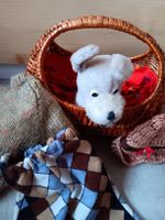 Hund im Korb mit Puppenkleider