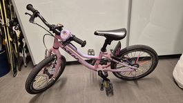 Naloo Chamäleon 16 Zoll Pink