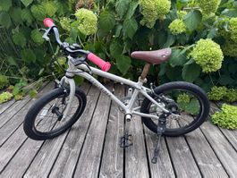 Early Rider 16