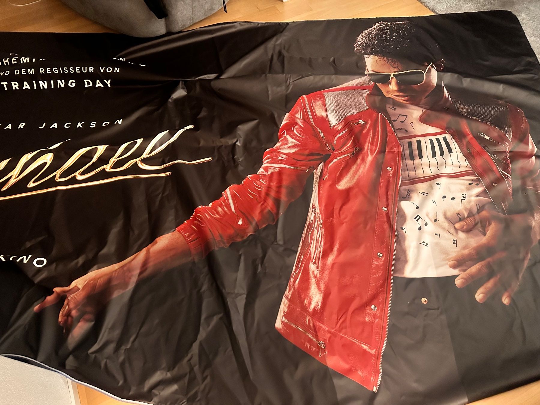 Foto & Immagini: Michael Jackson Plakat 6.20m x 5.30m – Usato da Ebikon venduto da nameismagic 1