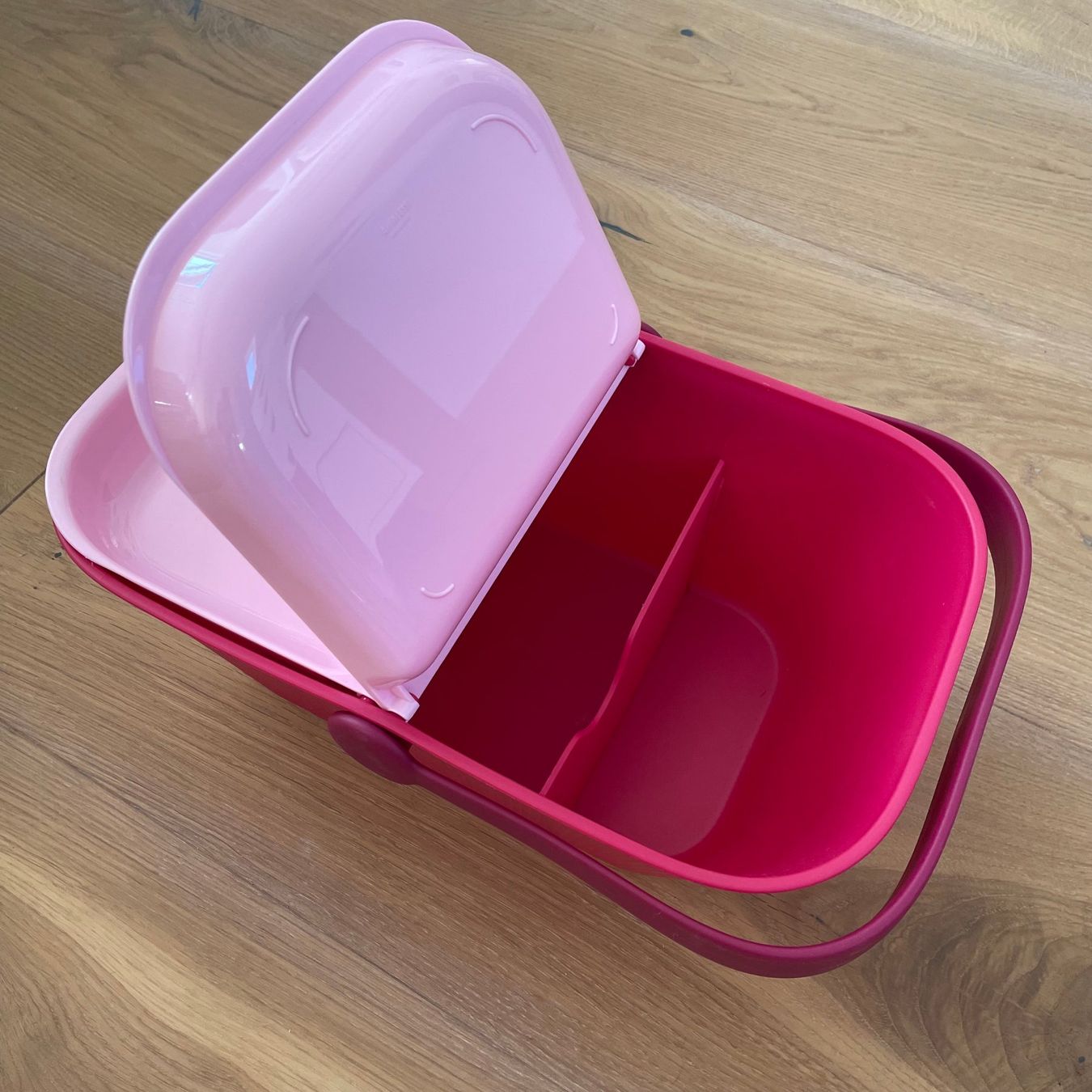 Alessi Contenitori & Simili: Alessi Hunde Picknickkorb Miriam Mirri – Usato da Walde AG venduto da Flumsi66 1