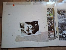 Fleetwood Mac Tusk Vinyl LP Guter Zustand