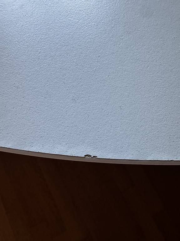 Ikea Tavoli: Runder Esstisch in weiß – Usato da Zürich venduto da att_czx6 1