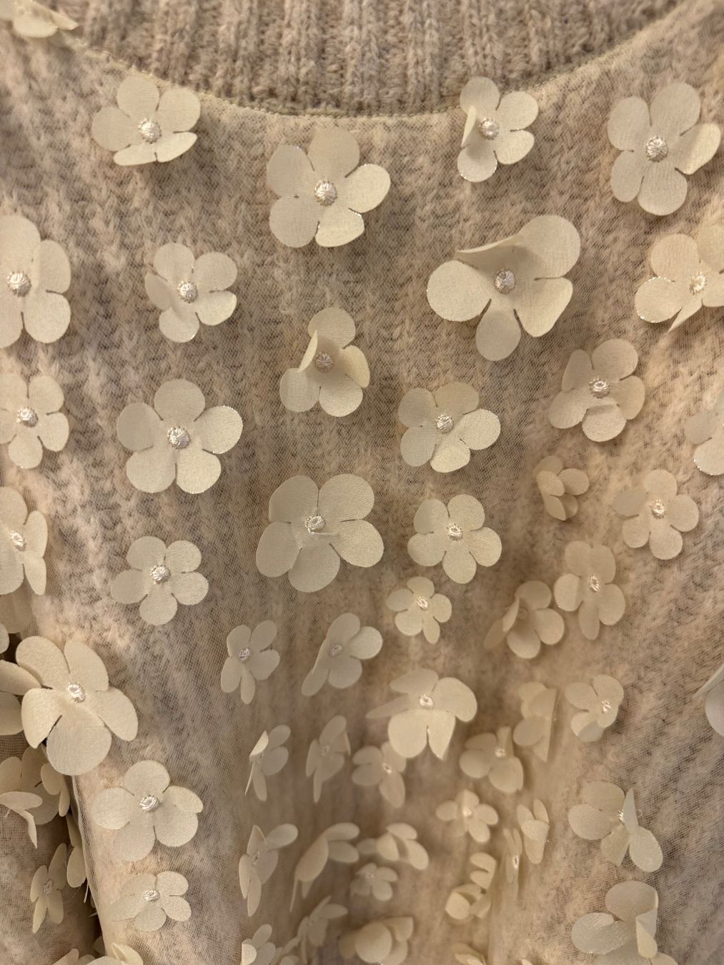 Zara Maglioni & Felpe: Pull Zara Ts – Usato da Conches venduto da chn_hgl6 9