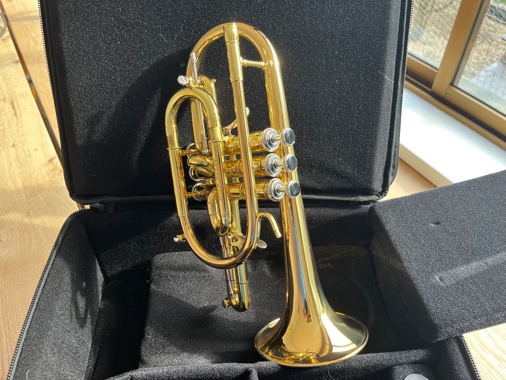 Stomvi Titan Mod. Brass Band Kaufen auf Ricardo