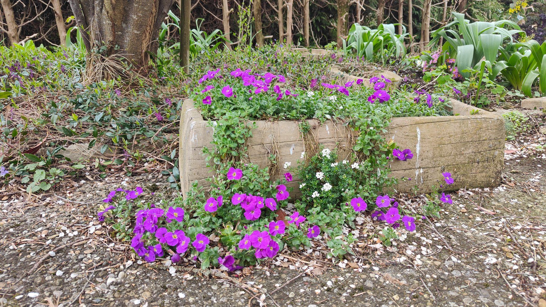 Vasi per fiori: Beton Blumentrog  mit Holzimitation / Ausverkauf – Nuovo (secondo la descrizione) da Herbetswil venduto da AHA-Garten