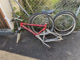 Schwinn Mountainbike Rahmen, rot, ideal f. Bastler!