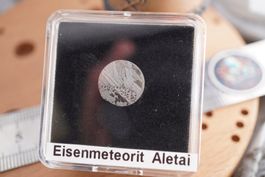 Eisenmeteorit Scheibe   Aletai    Ab 1.-