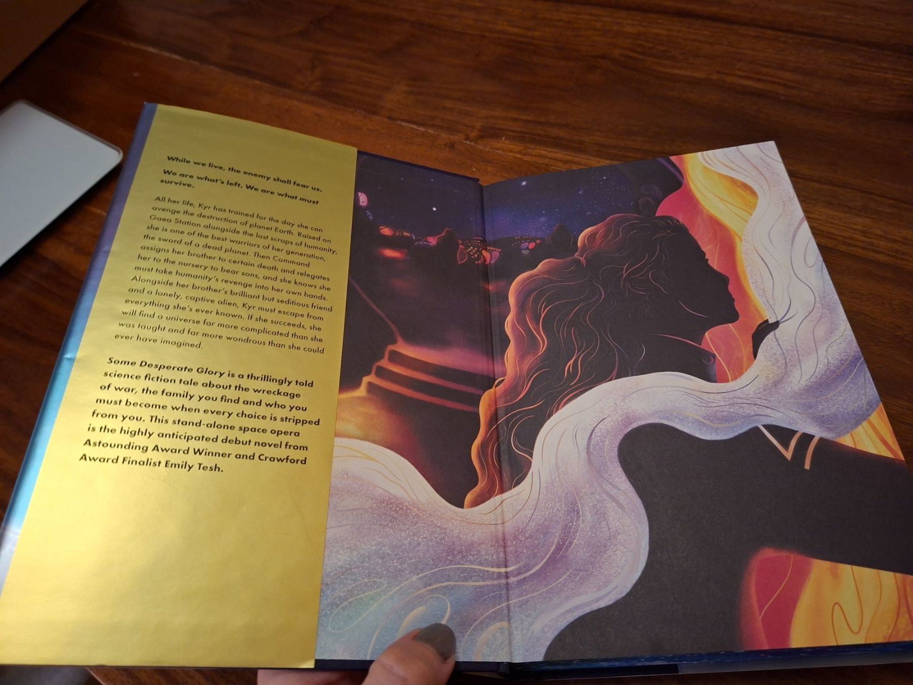 Bücher: Wunderschönes FAIRYLOOT PACKET 2 – Gebraucht aus Regensdorf von amb_n5n7 6