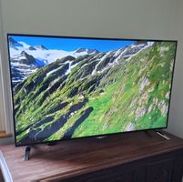 Fernseher / TV LG 55 Zoll