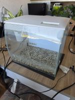 Aquarium Fluval Spec weiss gebraucht mit Kies und Pumpe