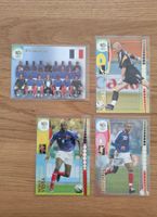 PANINI WORLD CUP 2006 TRADING CARDS FRANCE