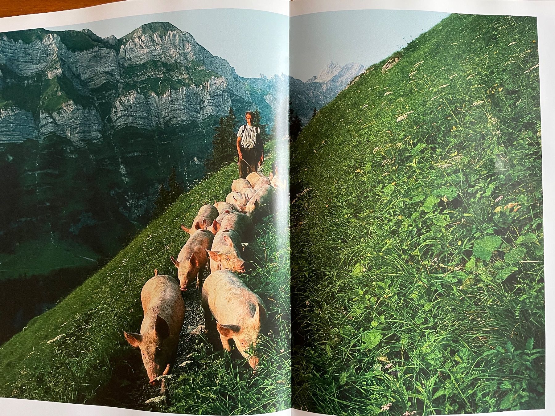 Libri: Stimmungsvolles Appenzellerland – Usato da Wyssachen venduto da Hahe89 8