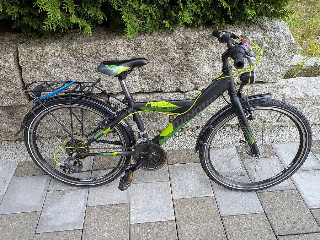 fahrradanhnger hund faltbar Faltbarer Hundefahrradanhnger Bis zu 20 kg E-Bike geeignet
