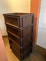 Stapelbehälter Rako Boxen 5 Stk