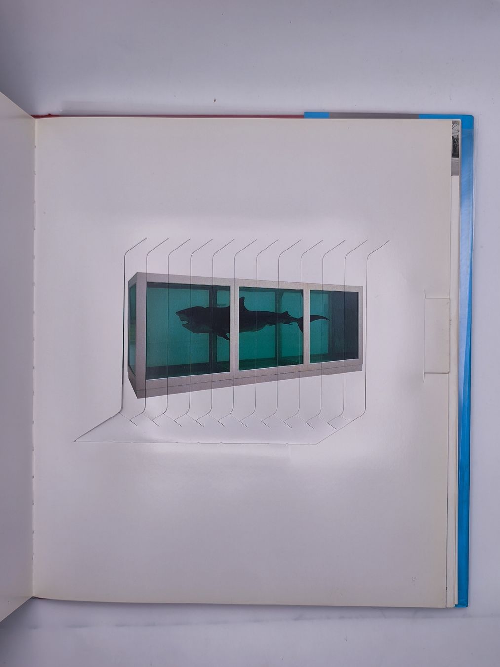Bücher: DAMIEN HIRST – Gebraucht aus Goldach von Gaip 7