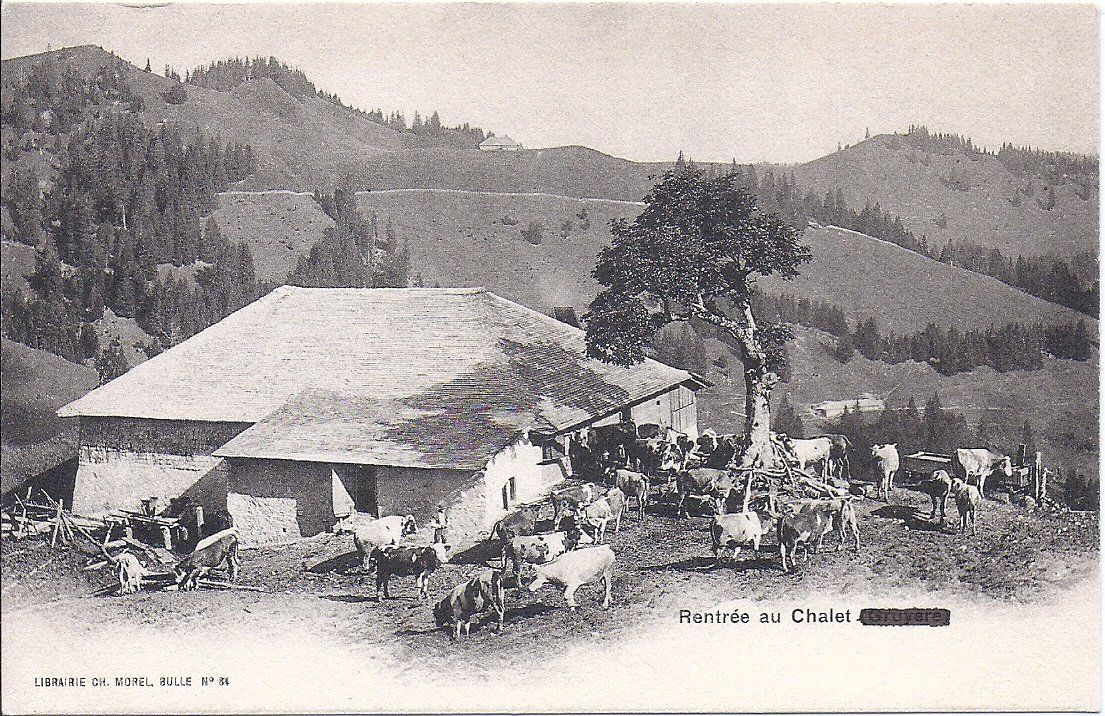 Cartoline postali: GRUYÈRE, rentrée au chalet – Nuovo (secondo la descrizione) da Les Verrières venduto da Scampi0