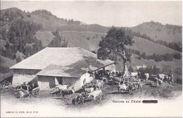 GRUYÈRE, rentrée au chalet