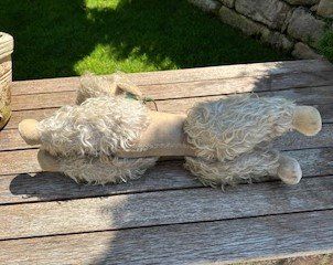 Giocattoli: aLteR PLüsChhuNd – Usato da Winkel venduto da zeho 5