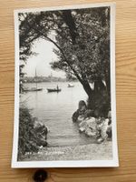 Zürichsee - AK