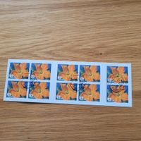 Carnet De Timbre /  Markenheftchen  Bern 2011
