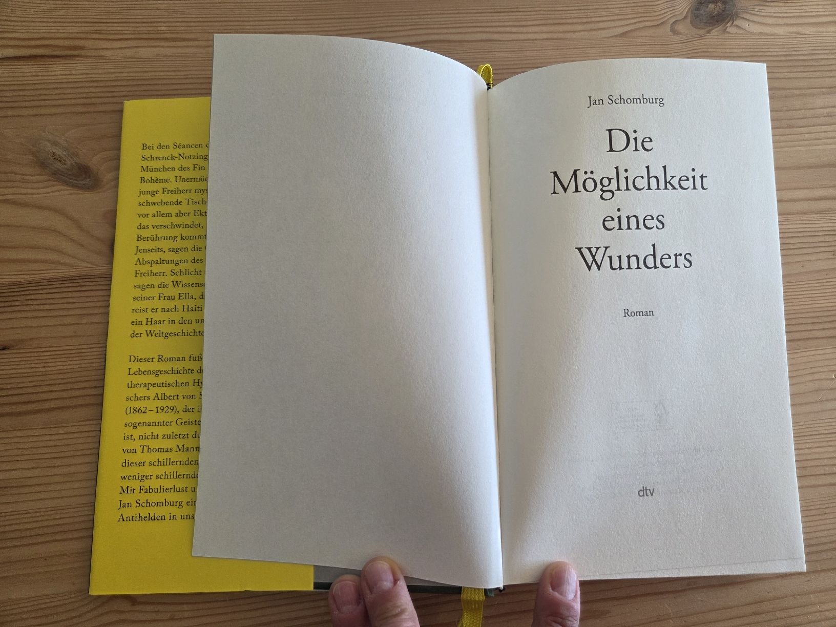 Libri: Die Möglichkeit eines Wunders, Jan Schomburg – Usato da Liestal venduto da ITOlio 2