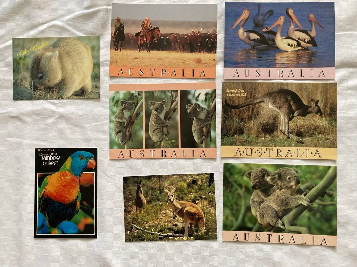 Cartes postales: Postkarten  Australien – Neuf (Voir description) à Kaiseraugst par wombat51 1