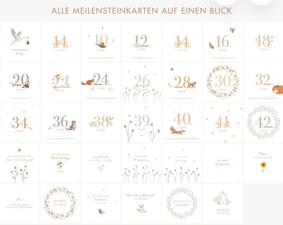 Cartoline: Meilensteinkarten Schwangerschaft – Nuovo (secondo la descrizione) da Zürich venduto da rah_5p85 1