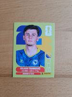 Panini WM 2026 BIH 9