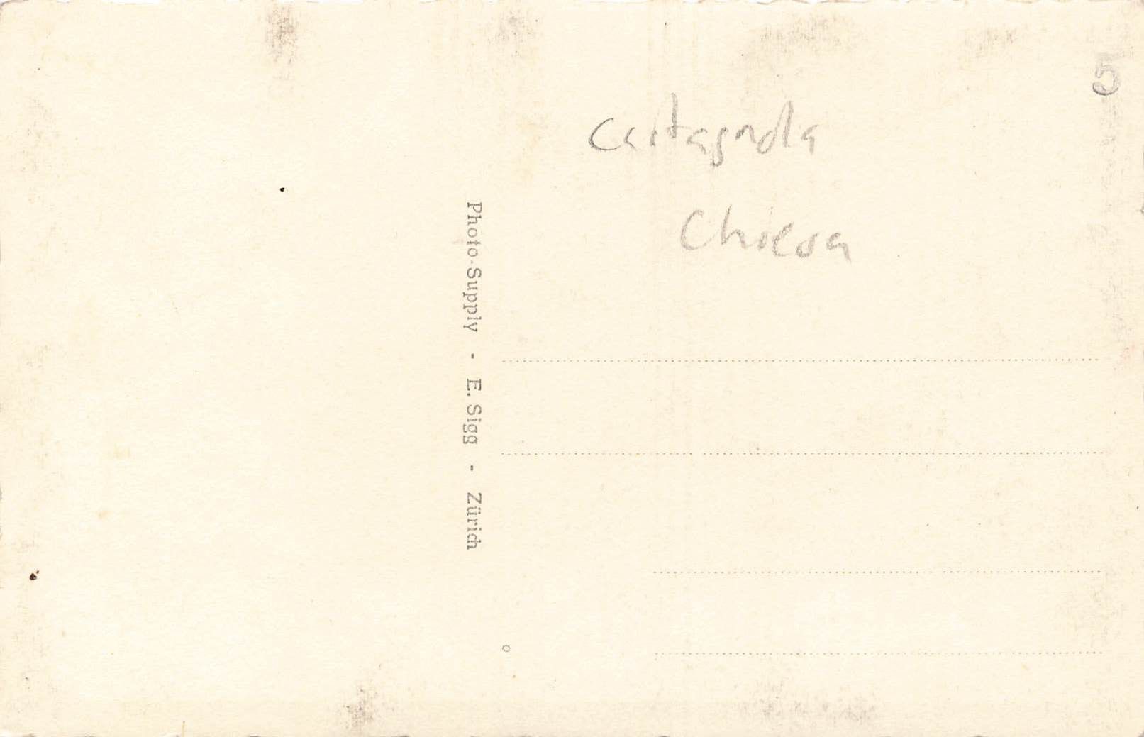 Cartoline postali: Castagnola – Usato da Biasca venduto da Blenio71 1
