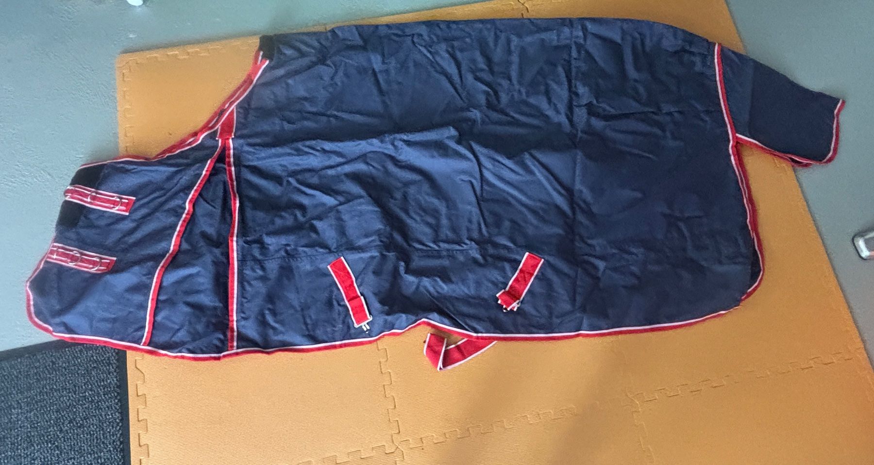 Coperte: Neue Regendecke Landi 135 cm – Nuovo (secondo la descrizione) da Schlatt ZH venduto da gwetsch
