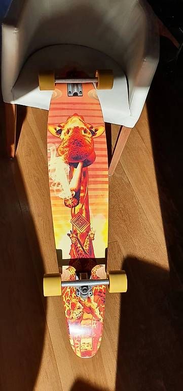 Skateboards: Area Longboard – Neuf (Voir description) à Emmetten par SleekPenguin 1